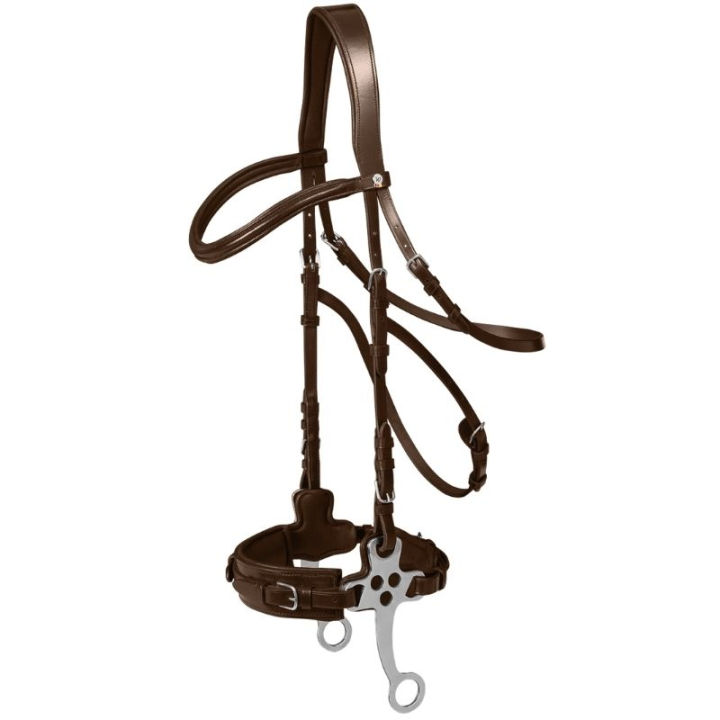 Hackamorehodelag X-Line Brun i gruppen Hesteutstyr / Hodelag & Pannebånd / Hackamore & Bittløse Hodelag hos Equinest (9573830VBR_r)