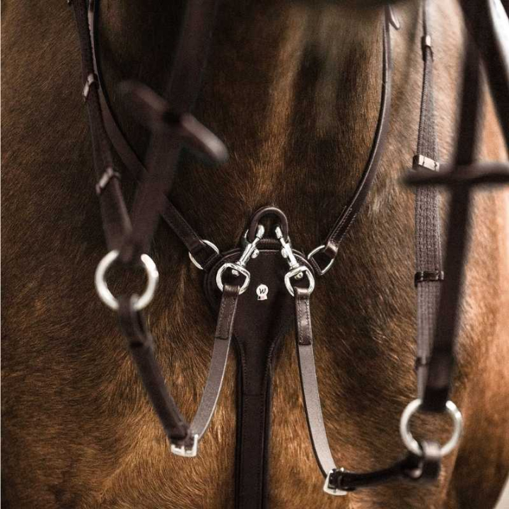Martingal Professional X-Line Brun i gruppen Hesteutstyr / Martingal & Fortøy / Martingal hos Equinest (9579630VBR_r)