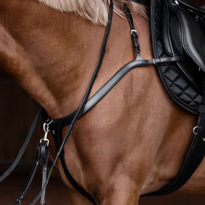 Fortøy Long Bridge X-Line Svart i gruppen Hesteutstyr / Martingal & Fortøy / Fortøy hos Equinest (9581201VBA_r)