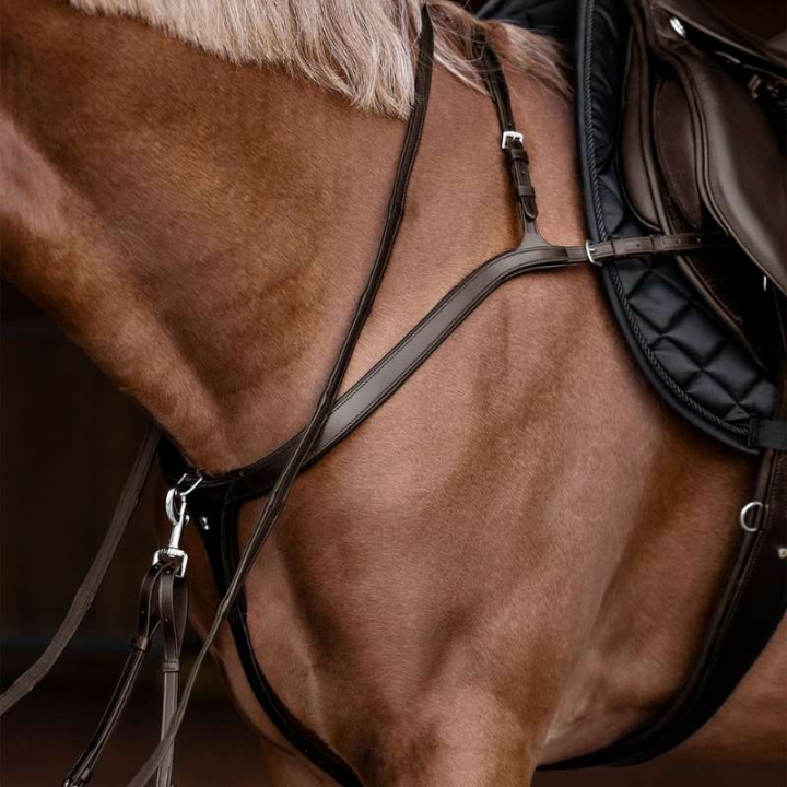 Fortøy Long Bridge X-Line Brun i gruppen Hesteutstyr / Martingal & Fortøy / Fortøy hos Equinest (9581230VBR_r)