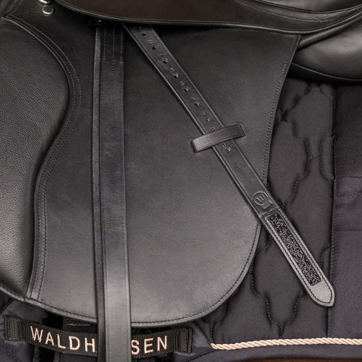 Stigbøylereimer Blackstar X-Line Svart/Svart i gruppen Hesteutstyr / Stigbøylereimer hos Equinest (95879011BABA_r)