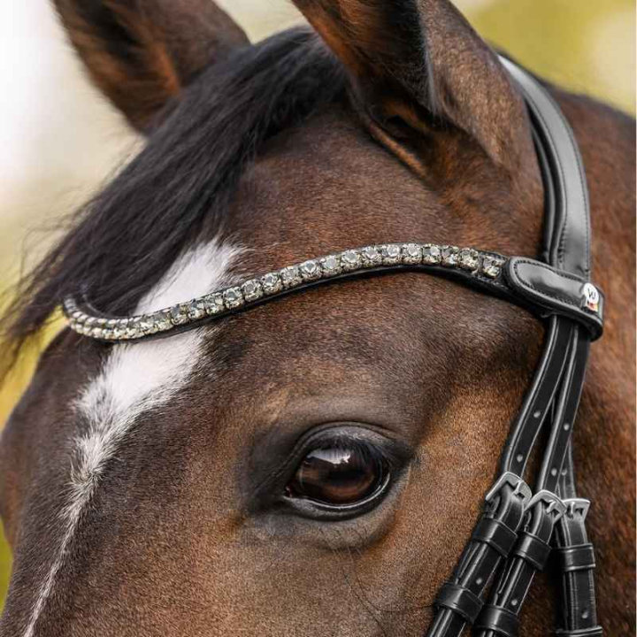 Pannereim Shine X-Line Svart/Sølv i gruppen Hesteutstyr / Hodelag & Pannebånd / Pannebånd hos Equinest (9589011VBASI_r)