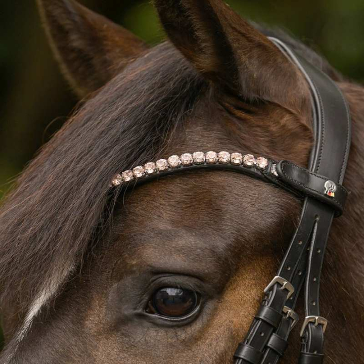 Pannereim Shine X-Line Svart/Rosa i gruppen Hesteutstyr / Hodelag & Pannebånd / Pannebånd hos Equinest (9589092VBAPI_r)