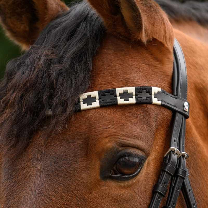 Pannereim Polo X-Line Svart/Beige i gruppen Hesteutstyr / Hodelag & Pannebånd / Pannebånd hos Equinest (9589301VBLABE_r)