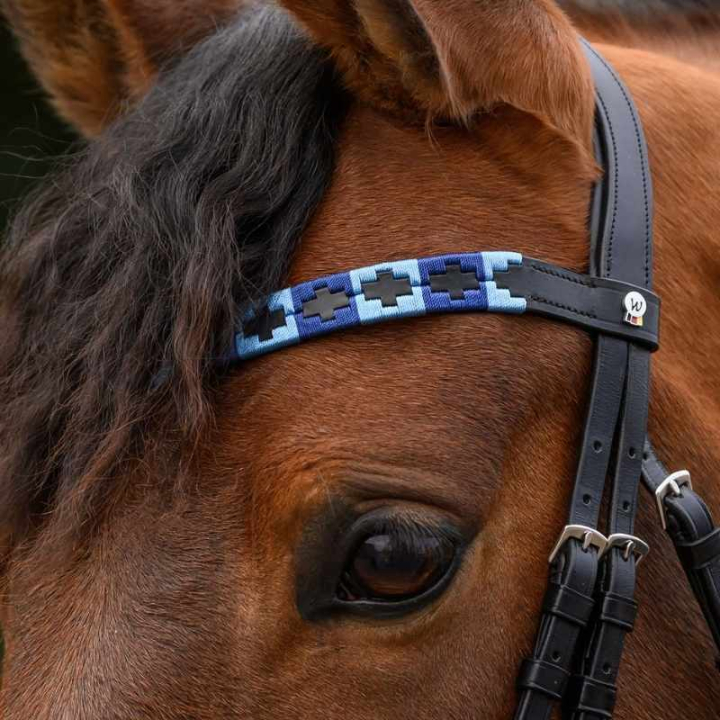 Pannereim Polo X-Line Svart/Blå i gruppen Hesteutstyr / Hodelag & Pannebånd / Pannebånd hos Equinest (9589305VBABL_r)