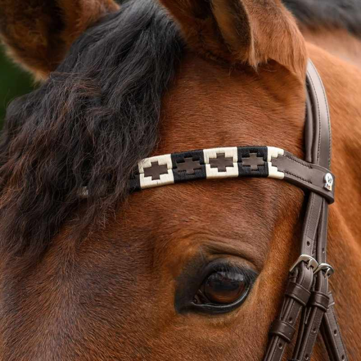 Pannereim Polo X-Line Brun/Beige i gruppen Hesteutstyr / Hodelag & Pannebånd / Pannebånd hos Equinest (9589401VBRBR_r)