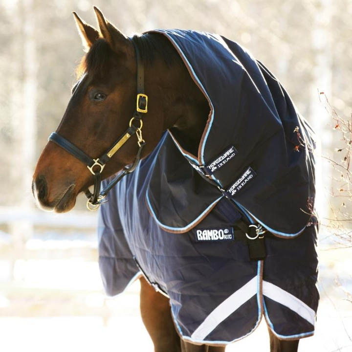 Utedekken Rambo Duo Plus 1000D (100g + 300g) Marineblå/Brun i gruppen Hestedekken / Utedekken hos Equinest (AAADA3BDNNALBLBR_r)