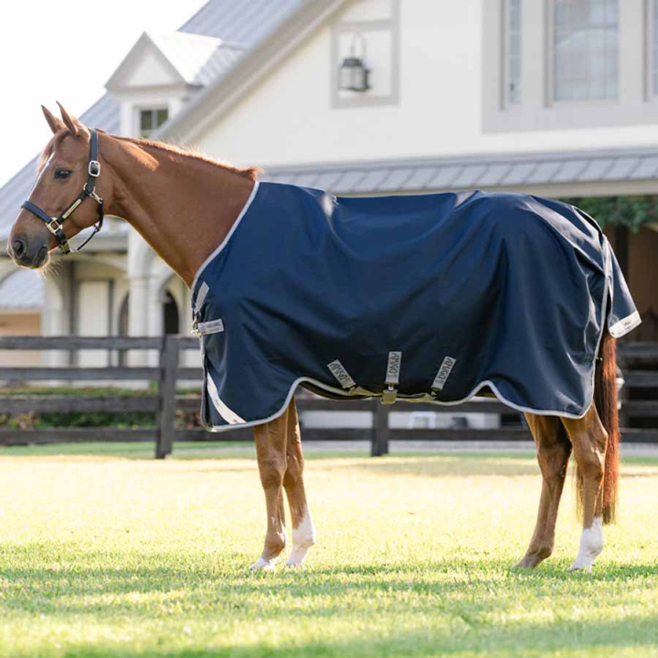 Utedekken Amigo 1200D 100g Marine/Grå/Sølv i gruppen Hestedekken / Utedekken / Overgangsdekken hos Equinest (AAOAL2BJI_r)