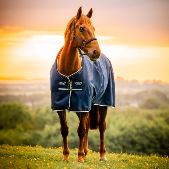 Regndekken Amigo Ripstop 900D 0g Witney Navy i gruppen Hestedekken / Utedekken / Regndekken hos Equinest (AARAG0VRKWNA_r)