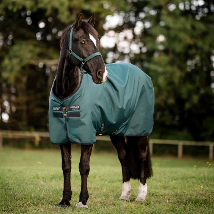 Regndekken Amigo Ripstop 900D 50g Grønn/Marineblå/Sølv i gruppen Hestedekken / Utedekken / Regndekken hos Equinest (AARAG1GBIGNMASI_r)