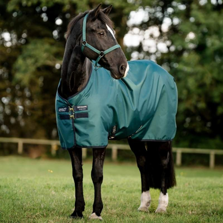 Vinterdekken Amigo Ripstop 900D 200g Grønn/Marineblå i gruppen Hestedekken / Utedekken / Vinterdekken hos Equinest (AARAG4GBIGNMASI_r)