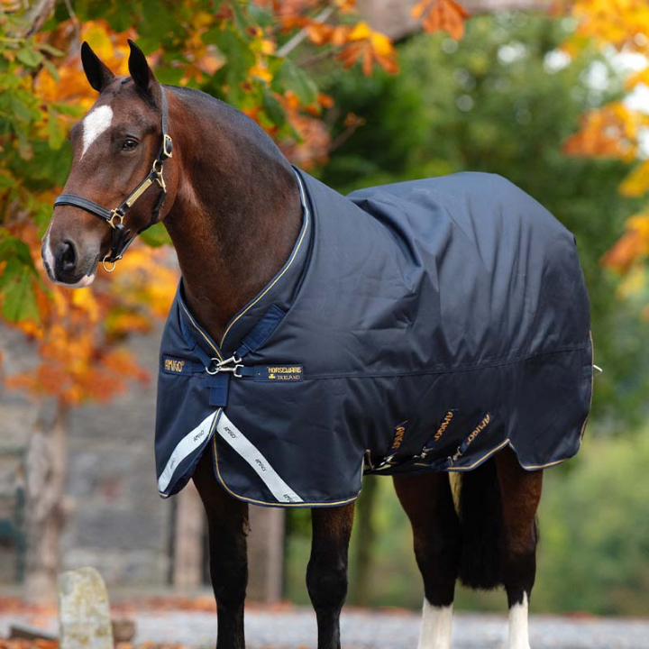 Vinterdekken Amigo Bravo 12 XL Original 250g Marineblå/Gull i gruppen Hestedekken / Utedekken / Vinterdekken hos Equinest (AARG03NA)