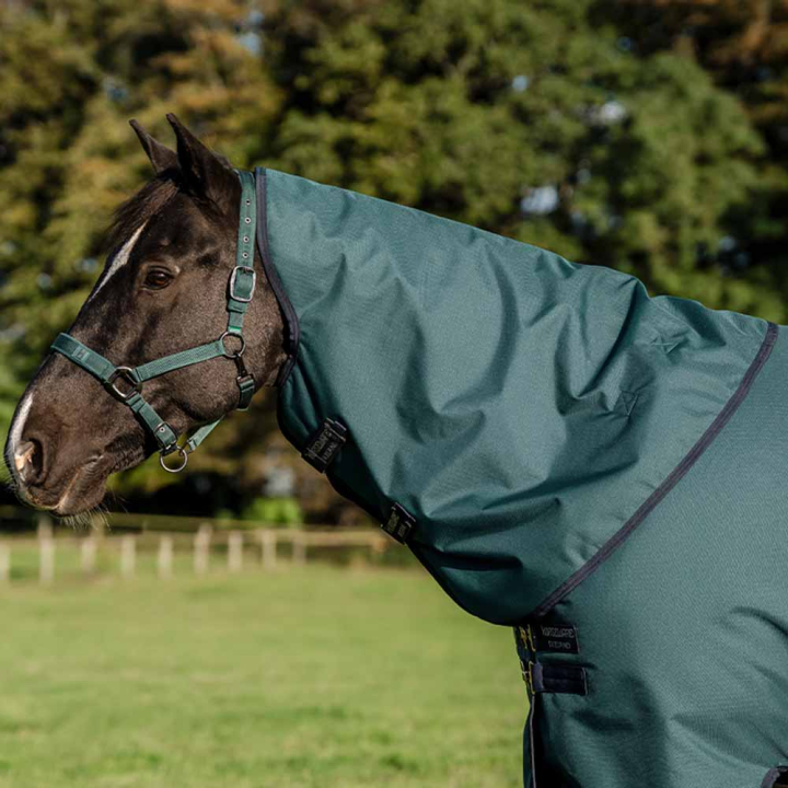 Hals Amigo Ripstop 900D 0g Grønn/Marineblå/Sølv i gruppen Hestedekken / Halser hos Equinest (AARN10GBGNMASI_r)