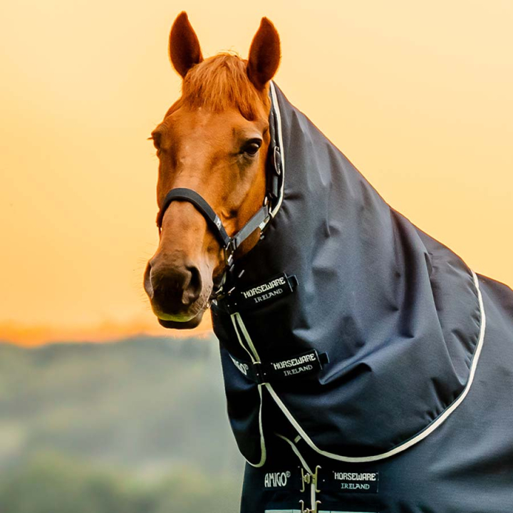 Hals Amigo Ripstop 900D 0g Witney Navy i gruppen Hestedekken / Halser hos Equinest (AARN10VRWNA_r)