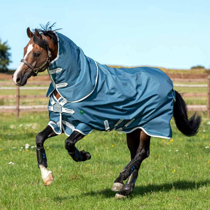 Vinterdekken AmEco Bravo 12 Plus Turnout 100g Turkis i gruppen Hestedekken / Utedekken / Vinterdekken hos Equinest (AAROJ2TU)