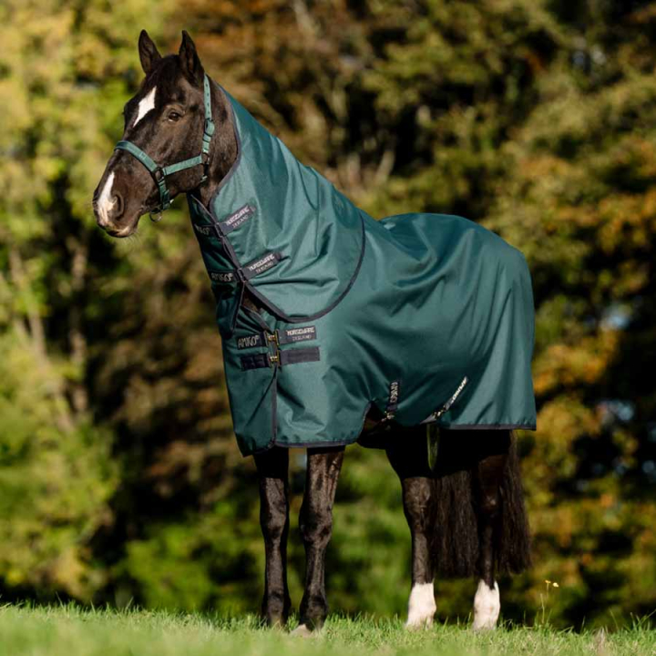 Vinterdekken Amigo Ripstop 900D Plus 200g Grønn/Marineblå/Sølv i gruppen Hestedekken / Utedekken / Vinterdekken hos Equinest (AARPG4GBIGNMASI_r)