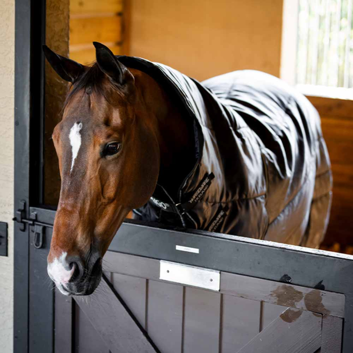 Stalldekken Amigo Insulator Ripstop 210D Plus 200g Svart/Sølv i gruppen Hestedekken / Stalldekken hos Equinest (ABRFB4KKIBASI_r)