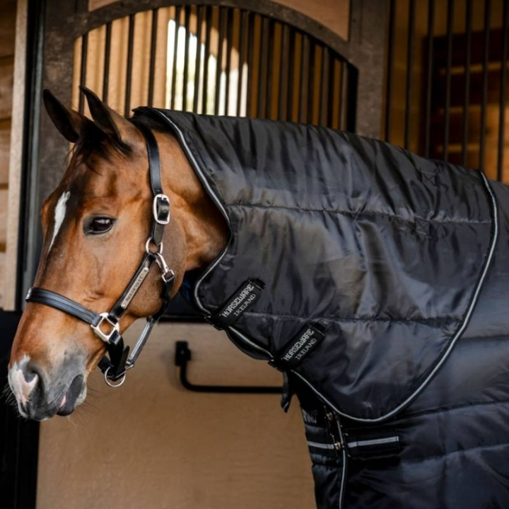 Hals Amigo Ripstop Insulator 210D 200g Svart/Sølv i gruppen Hestedekken / Halser hos Equinest (ABRHN4KKIBABASI_r)