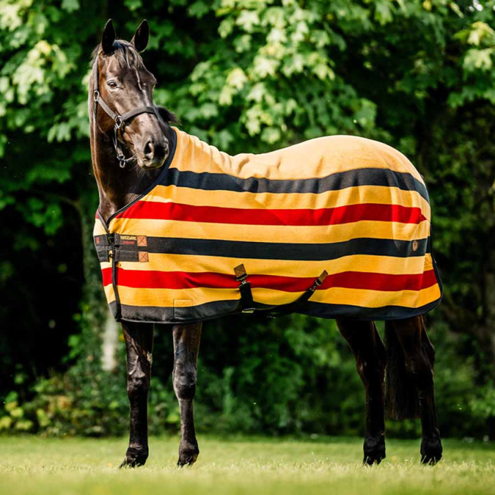 Fleecedekken Newmarket Cooler Witney Gold i gruppen Hestedekken / Fleecedekken hos Equinest (ACHFBNVRKWGO_r)