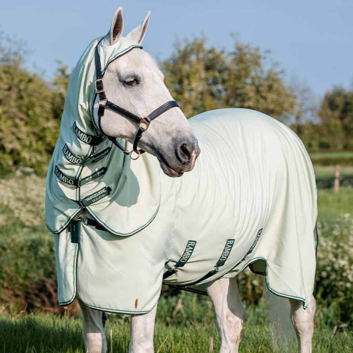 Flue- & eksemdekken Rambo Hoody XL Lysegrønn i gruppen Fluebeskyttelse / Fluedekken hos Equinest (AFAPG0GN)