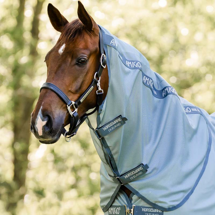 Hals Amigo Bug Rug Lyseblå/Blå/Sølv i gruppen Hestedekken / Halser hos Equinest (AFRNNNCCLBLBLSI_r)