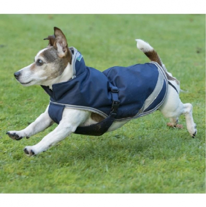 Hundedekken Freedom 300g Marinblå i gruppen Hund / Hundekapper & Hundetrøyer hos Equinest (B-281300Ma_r)