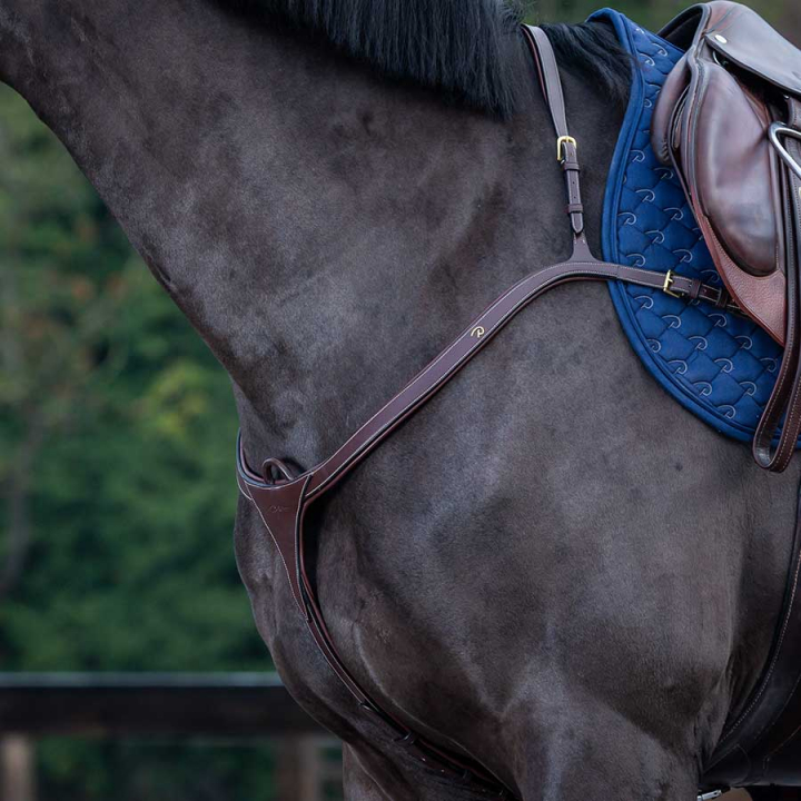 Fortøy med lang bro DC Brun i gruppen Hesteutstyr / Martingal & Fortøy / Fortøy hos Equinest (DY06CBr_r)