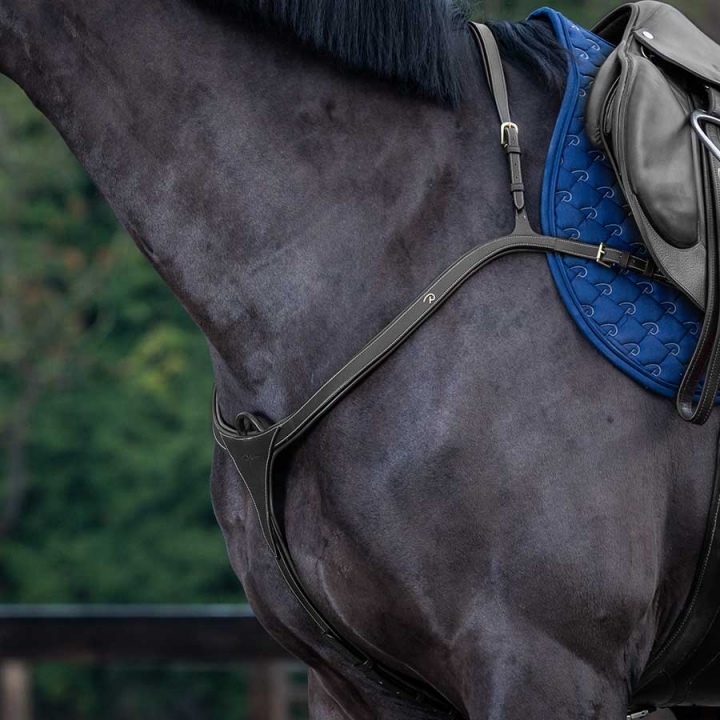 Fortøy med lang bro DC Svart i gruppen Hesteutstyr / Martingal & Fortøy / Fortøy hos Equinest (DY06CSv_r)