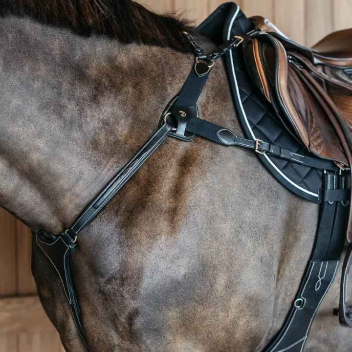 5-punkts Fortøy Elastic Dyon Collection Svart i gruppen Hesteutstyr / Martingal & Fortøy / Fortøy hos Equinest (DY06FBLCBA_r)