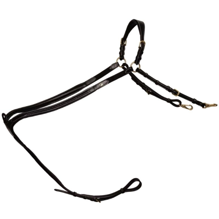 Fortøy Plaited Dyon Collection Svart i gruppen Hesteutstyr / Martingal & Fortøy / Fortøy hos Equinest (DY06HBLCBA_r)