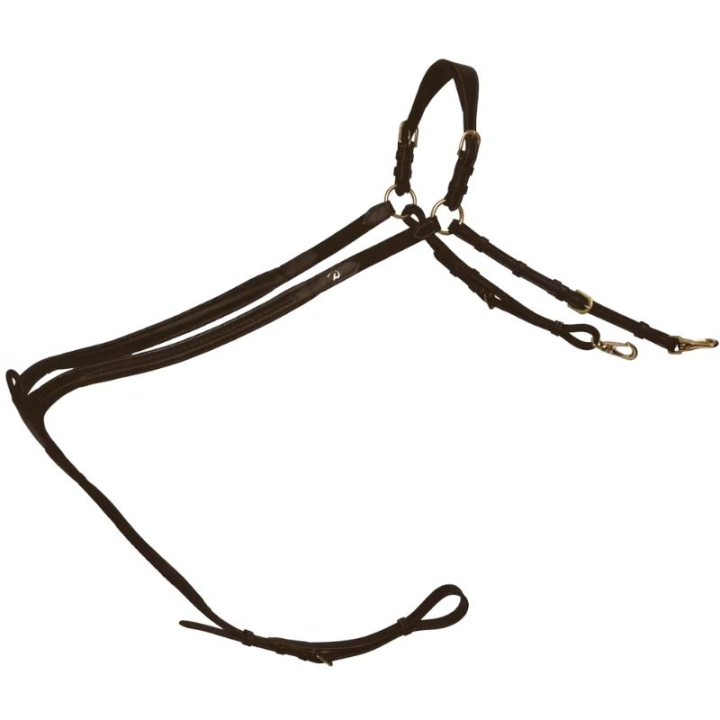 Fortøy Plaited Dyon Collection Brun i gruppen Hesteutstyr / Martingal & Fortøy / Fortøy hos Equinest (DY06HBRCBR_r)