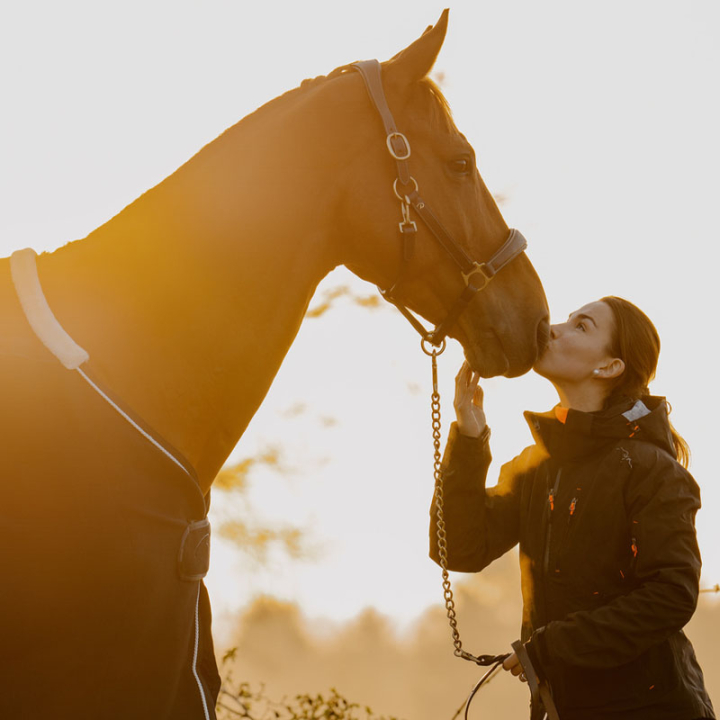 Groominggrime Artificial Leather Anatomic DC Brun i gruppen Hesteutstyr / Grimer / Lærgrimer hos Equinest (DY09ABRCBR_r)