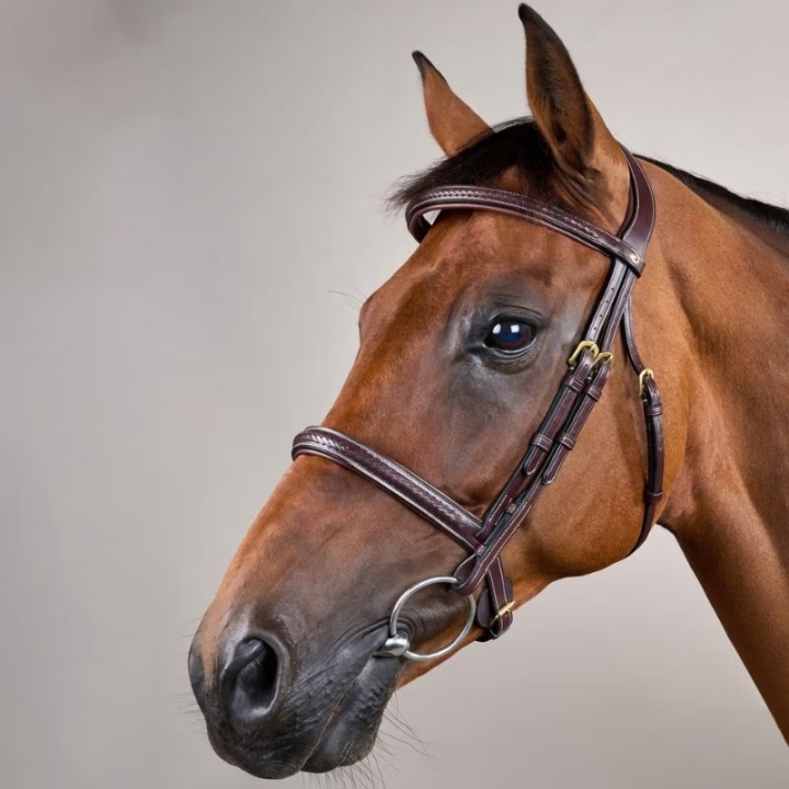 Hodelag uten Nedre Nesereim Plaited Dyon Collection Brun i gruppen Hesteutstyr / Hodelag & Pannebånd / Hodelag hos Equinest (DY1000105BR_r)