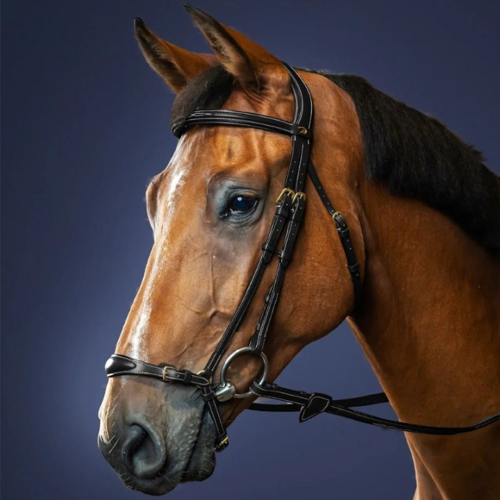Hodelag Hannoveransk Nesereim Dyon Collection Svart i gruppen Hesteutstyr / Hodelag & Pannebånd / Dressur- & Kandarhodelag hos Equinest (DYAAAEBLCBA_r)