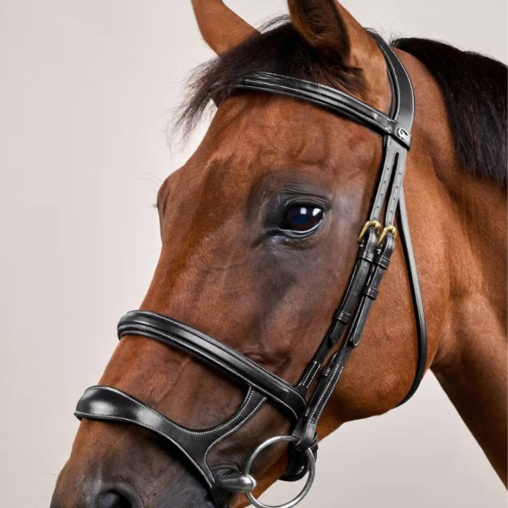 Hodelag Dobbel Nesereim Dyon Collection Svart i gruppen Hesteutstyr / Hodelag & Pannebånd / Hodelag hos Equinest (DYAAAHBLCBA_r)