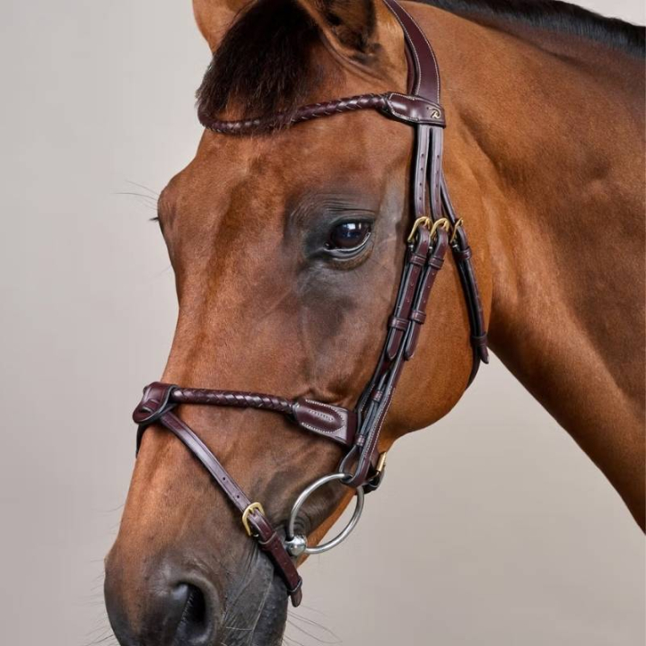 Hodelag Kombinert Nesereim Braided Dyon Collection Brun i gruppen Hesteutstyr / Hodelag & Pannebånd / Hodelag hos Equinest (DYARAYBRCBR_r)