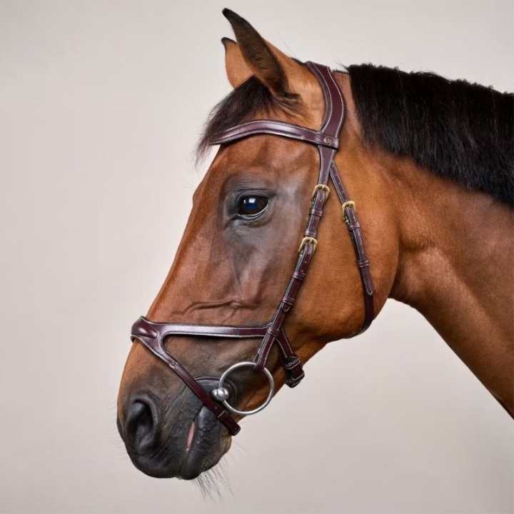 Hodelag X-Fit Anatomisk DC Brun i gruppen Hesteutstyr / Hodelag & Pannebånd / Hodelag hos Equinest (DYCCCDBr_r)