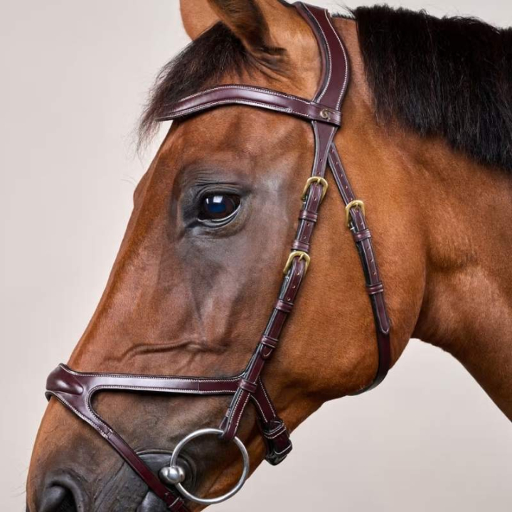 Anatomisk Hodelag X-Fit Dyon Collection Brun i gruppen Hesteutstyr / Hodelag & Pannebånd / Hodelag hos Equinest (DYCCCDBr_r)