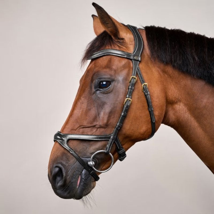 Hodelag X-Fit Anatomisk DC Svart i gruppen Hesteutstyr / Hodelag & Pannebånd / Hodelag hos Equinest (DYCCCDSv_r)