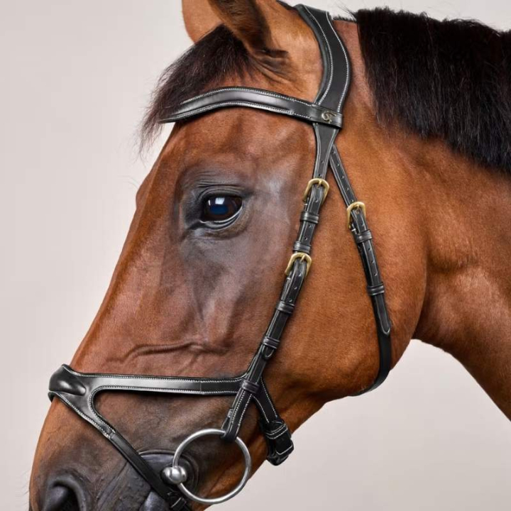 Anatomisk Hodelag X-Fit Dyon Collection Svart i gruppen Hesteutstyr / Hodelag & Pannebånd / Hodelag hos Equinest (DYCCCDSv_r)