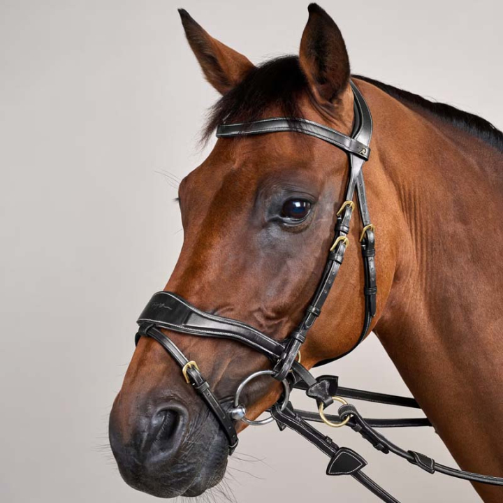 Hodelag D Motion Dyon Collection Svart i gruppen Hesteutstyr / Hodelag & Pannebånd / Hodelag hos Equinest (DYCCCWBLCBA_r)