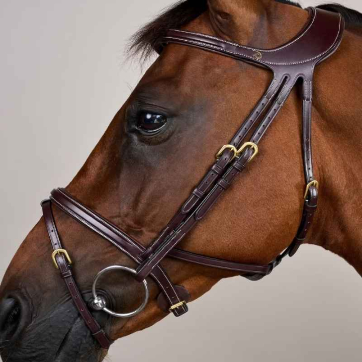 Hodelag Difference Dyon Collection Brun i gruppen Hesteutstyr / Hodelag & Pannebånd / Hodelag hos Equinest (DYGXAUBRCBR_r)