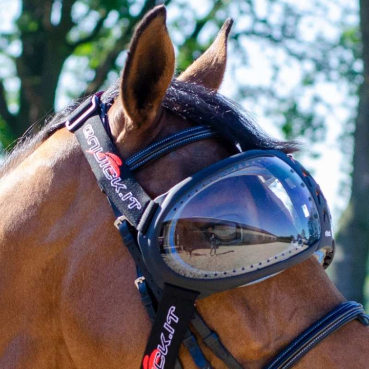 eVysor Transparent  i gruppen Hesteutstyr / Tilbehør hos Equinest (EVYSOR1)
