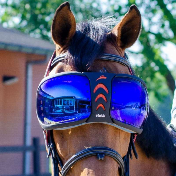 eVysor Mirrored Blue i gruppen Hesteutstyr / Tilbehør hos Equinest (EVYSOR3BL)