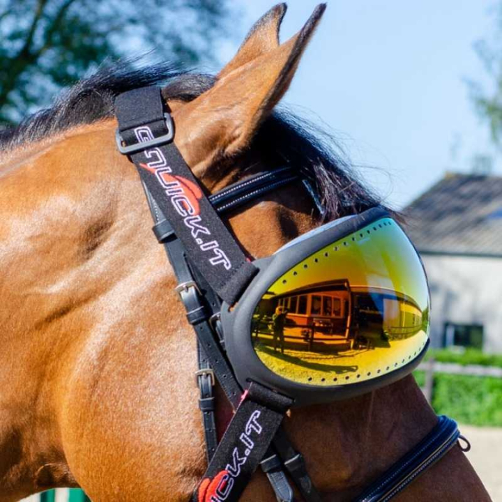 eVysor Mirrored Orange i gruppen Hesteutstyr / Tilbehør hos Equinest (EVYSOR4OR)