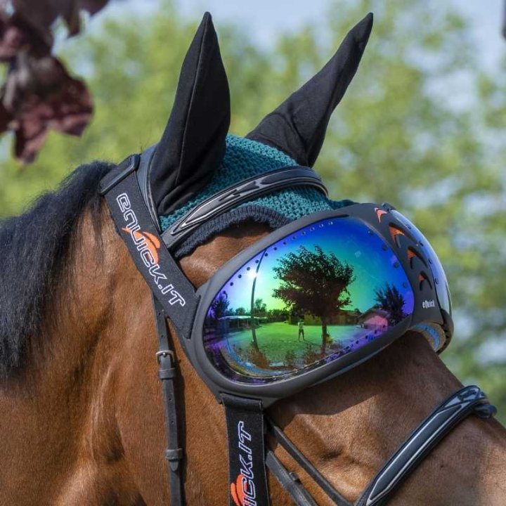 eVysor Mirrored Green  i gruppen Hesteutstyr / Tilbehør hos Equinest (EVYSOR5GN)