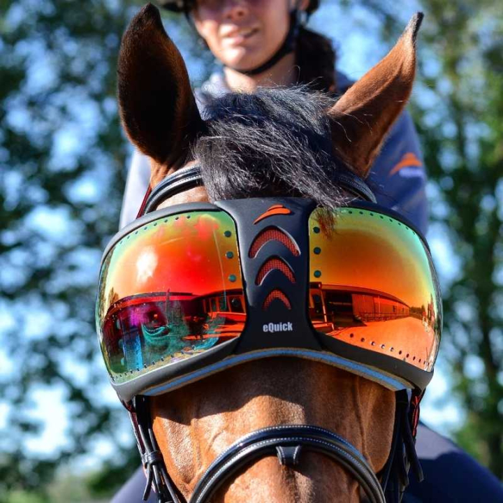 eVysor Mirrored Rainbow i gruppen Hesteutstyr / Tilbehør hos Equinest (EVYSOR6)