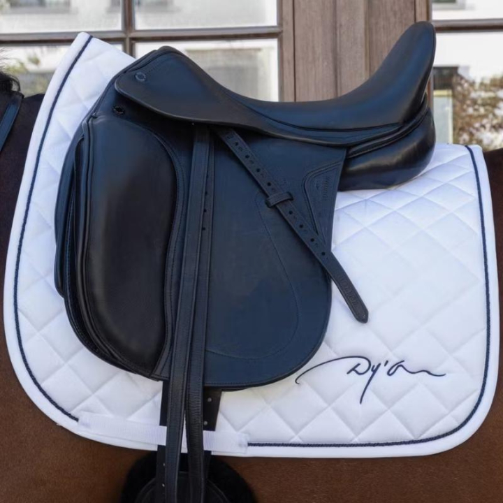 Dressursjabrak Diamond Hvit i gruppen Hesteutstyr / Sjabraker / Dressursjabraker hos Equinest (HO22MWHFWH_r)