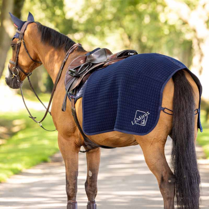 Lendedekken Clima-Tek Quarter Marineblå i gruppen Hestedekken / Lendedekken hos Equinest (IT04514003NA_r)