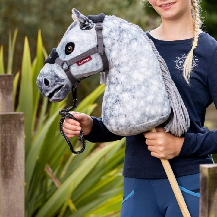 Kjepphest Sammy i gruppen Kjepphester & Lekehester / Kjepphester hos Equinest (IT081350)